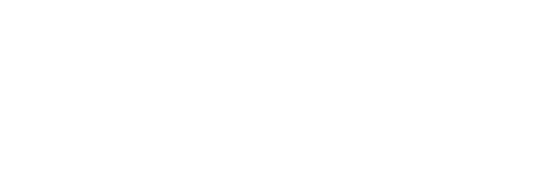 Script Network